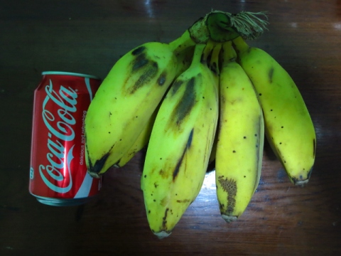bananas-cola
